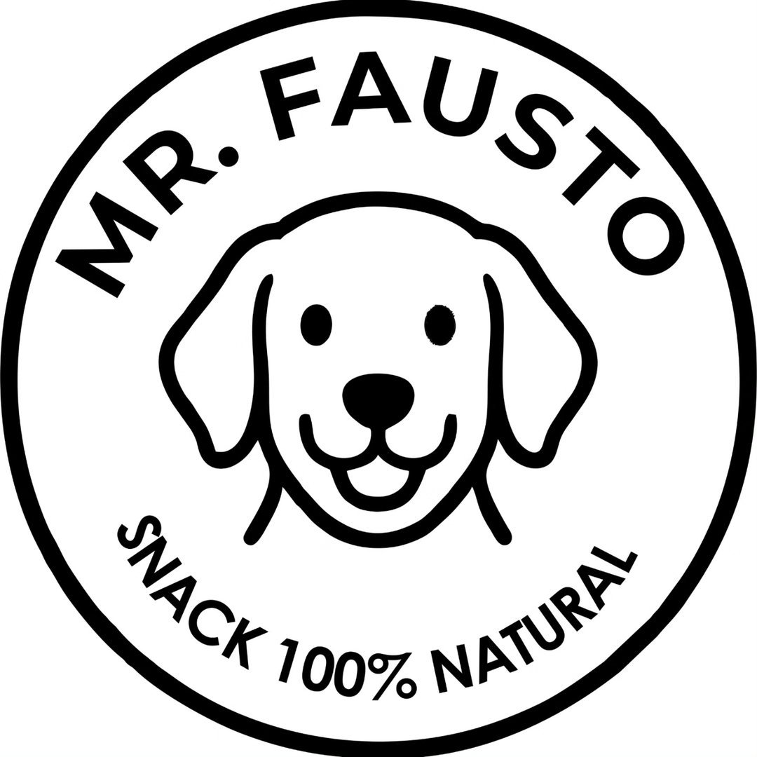 mrfausto.mx